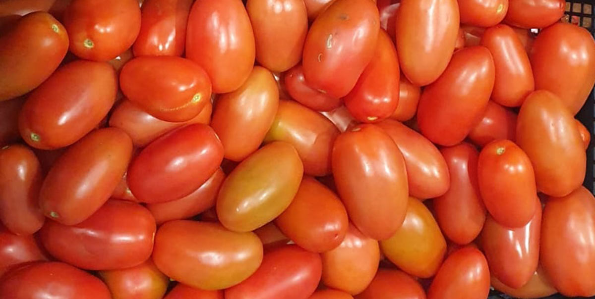 Pomodoro ovetto - 0,90 euro al chilogrammo